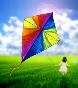 Joie air Cerf Volant Estivale Biodanza