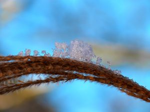 Givre perles éternité