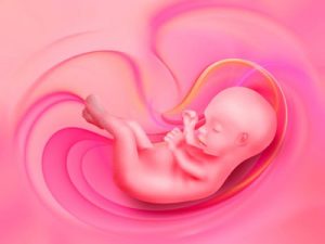 bébé in utéro tendresse