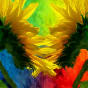 Magnificence abondance de couleurs