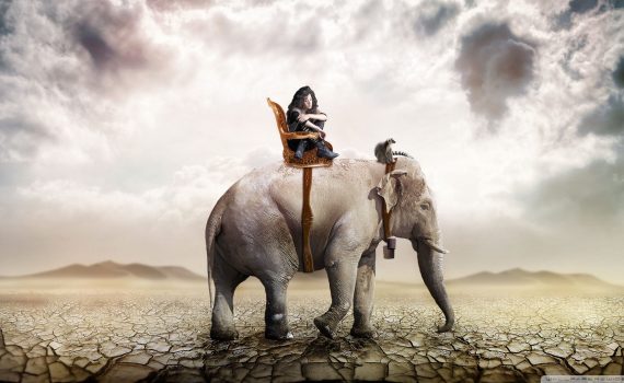 Eléphant force de vie destruction