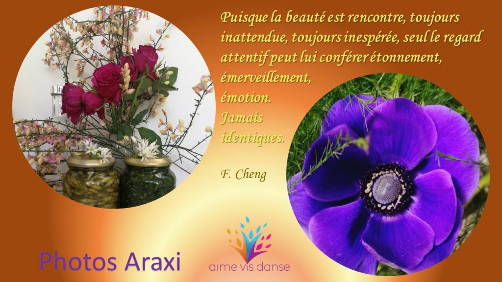 Poésie Biodanza Confinée 3