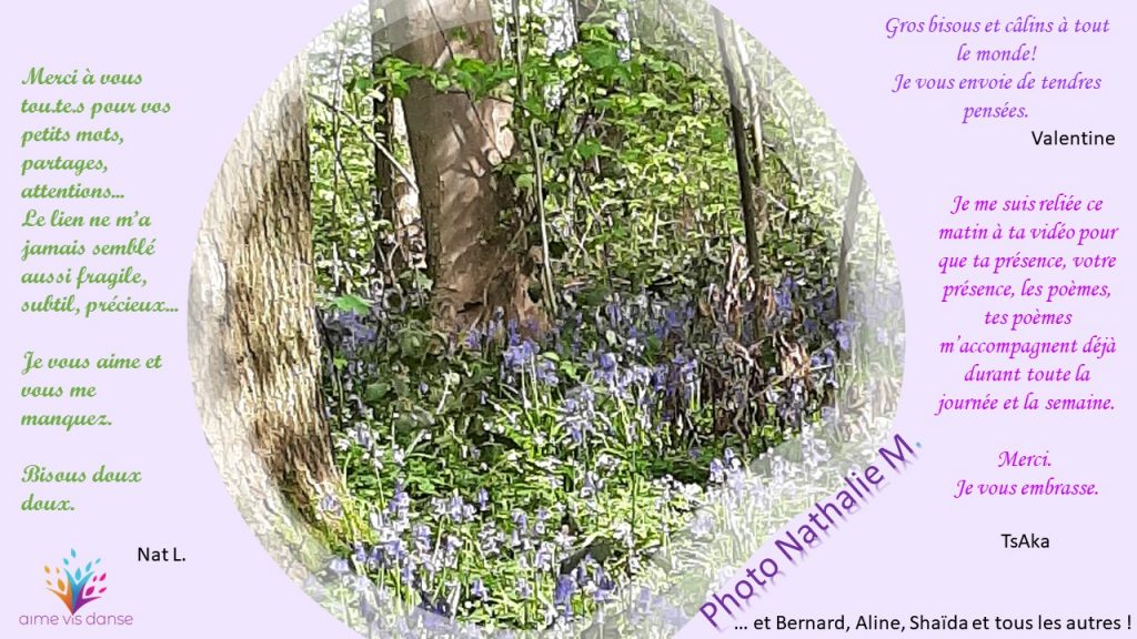 Poésie Biodanza Confinée 4